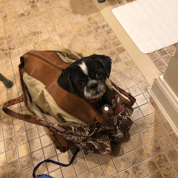 Meet your Posher, Chris - Picture 1 of 1